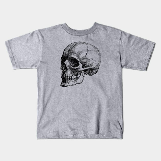 Human Skull - Vintage Anatomy Kids T-Shirt by Vintage Anatomy Prints